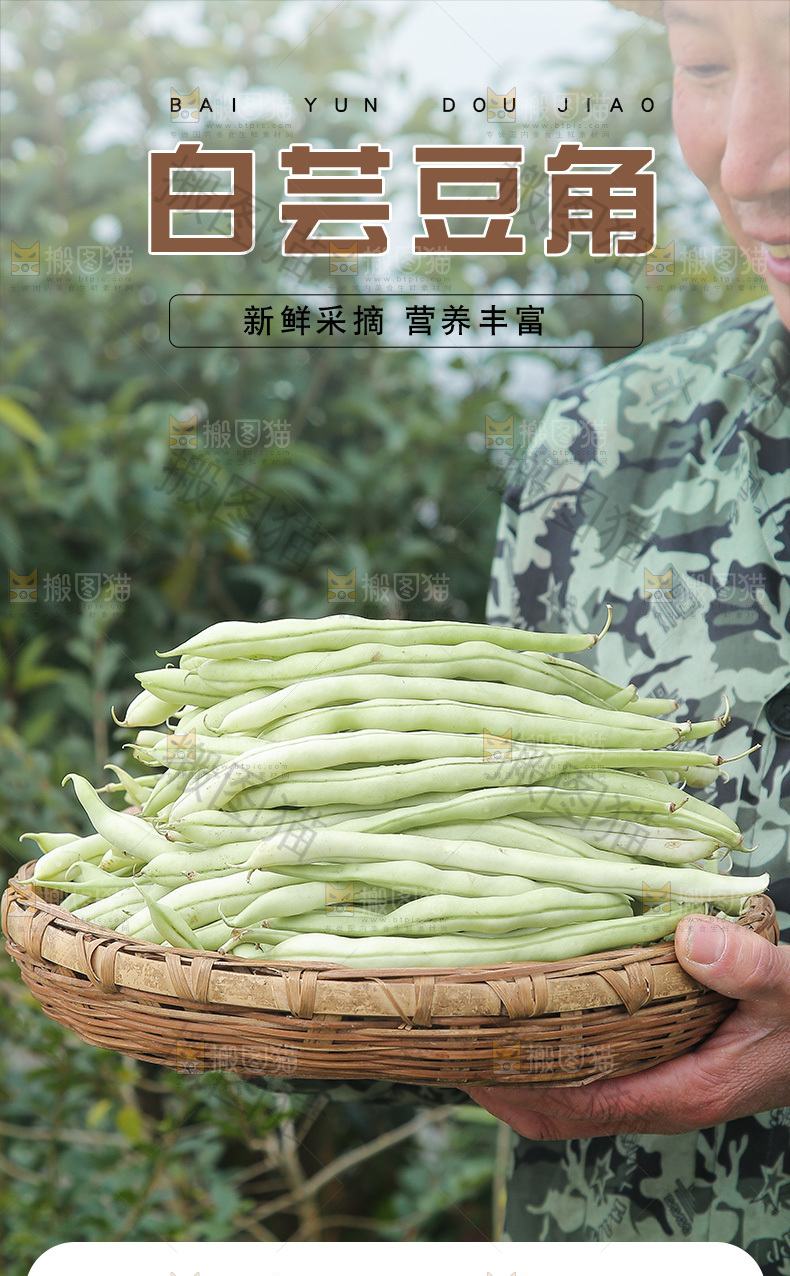 白芸豆详情页
