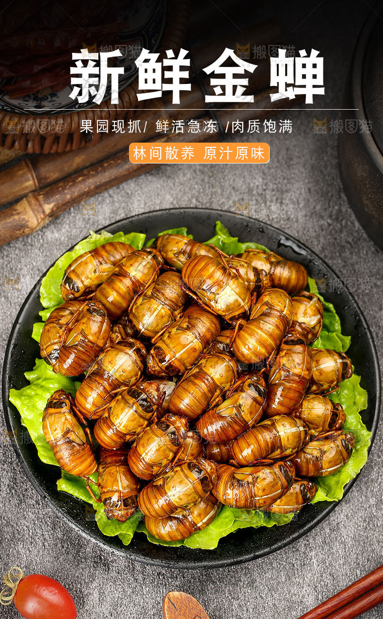 新鲜金蝉详情页
