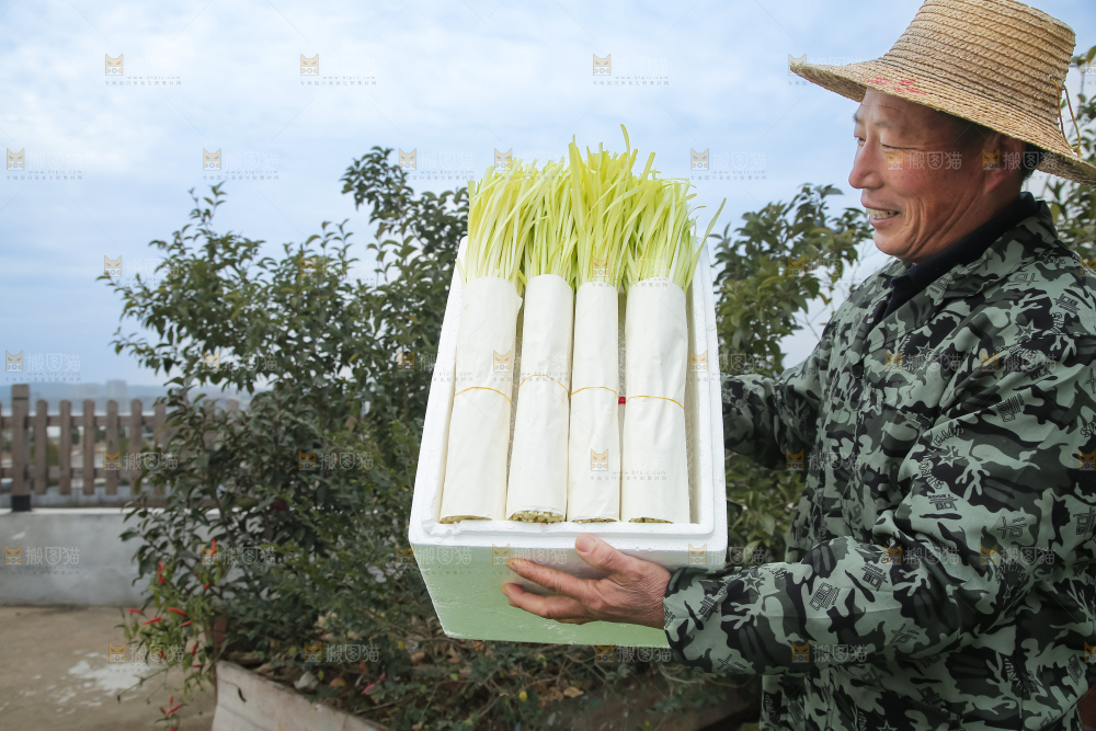 手上拿着新鲜韭黄