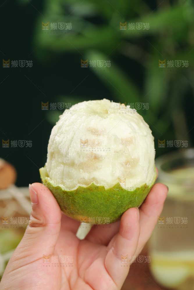 浅底上新鲜罗汉果