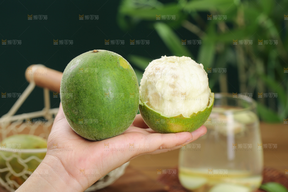 浅底上新鲜罗汉果