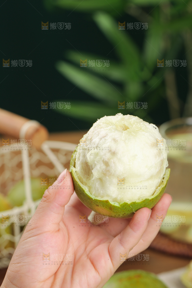 浅底上新鲜罗汉果
