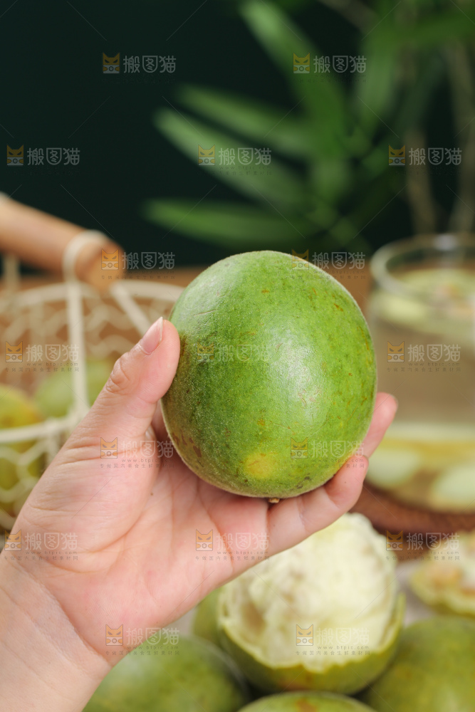 浅底上新鲜罗汉果