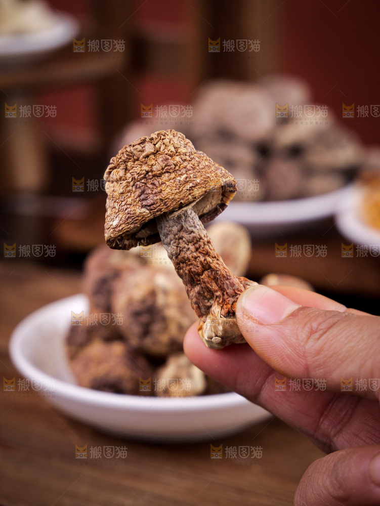 深底上的姬松茸