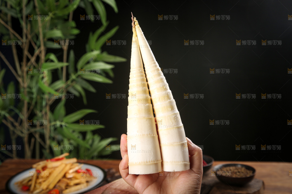 深底上的雷笋