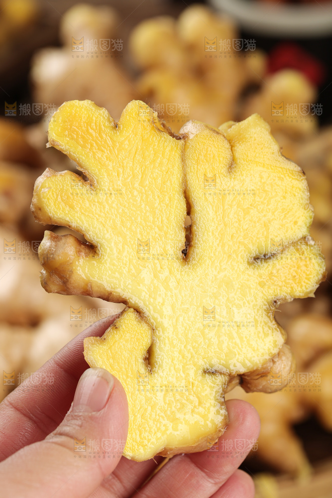 深底上的小黄姜