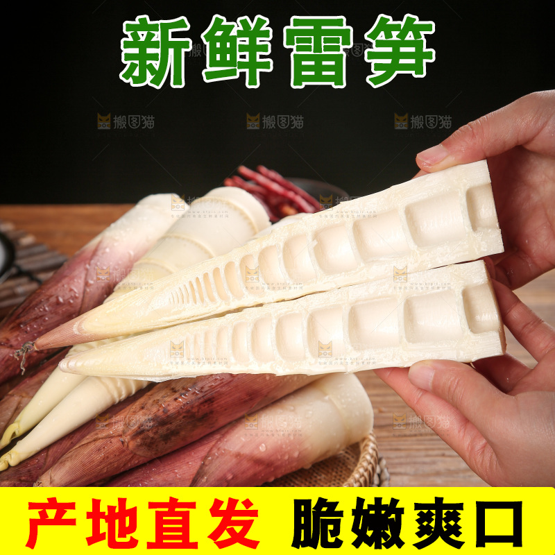 深底上的雷笋