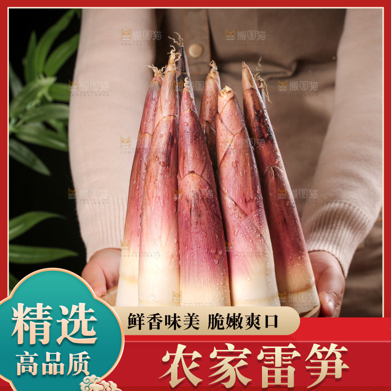 深底上的雷笋