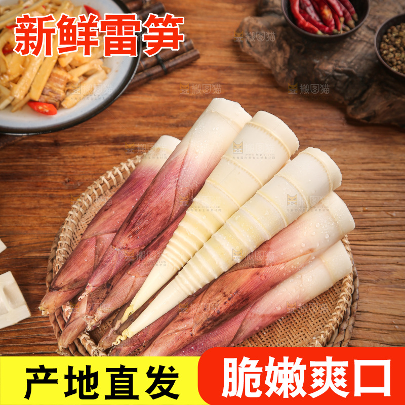 深底上的雷笋