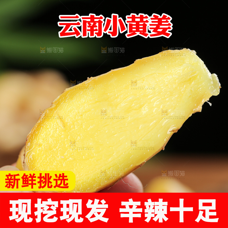 深底上的小黄姜