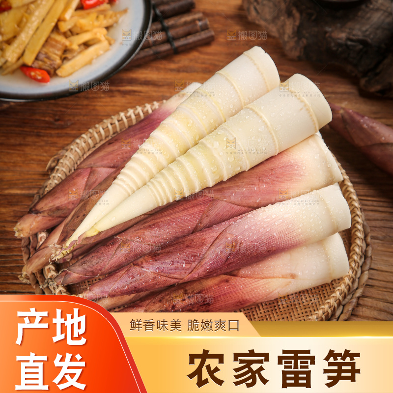 深底上的雷笋