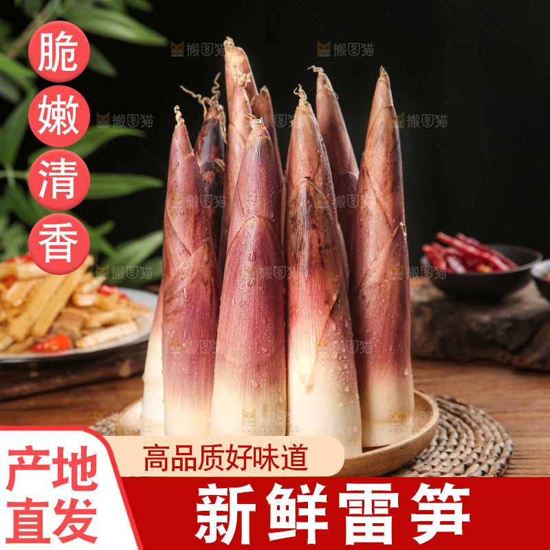 深底上的雷笋
