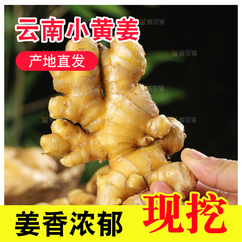 深底上的小黄姜