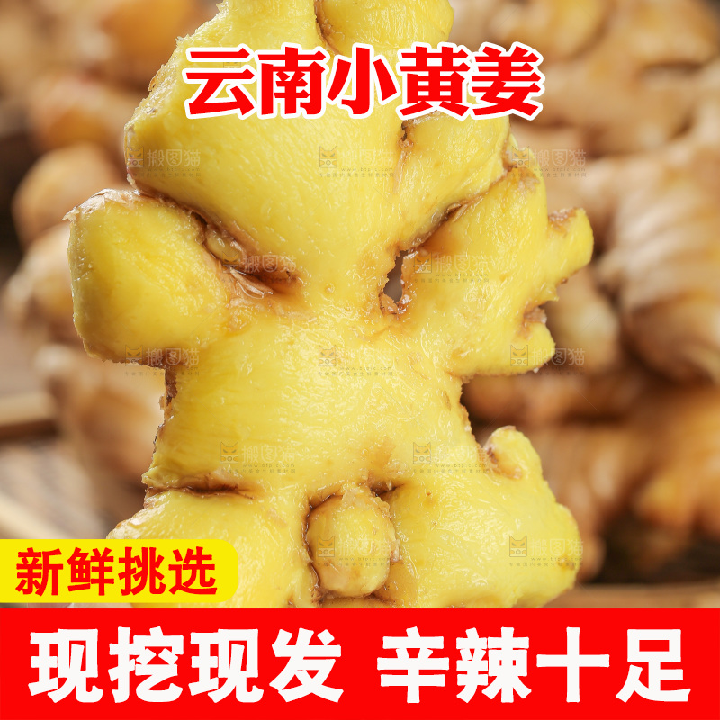 深底上的小黄姜