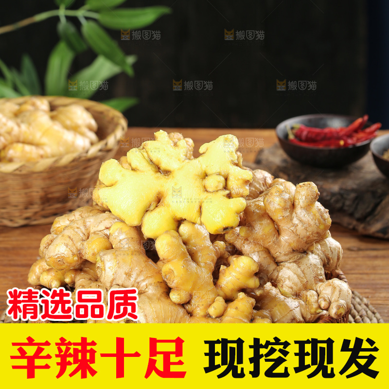 小黄姜主图