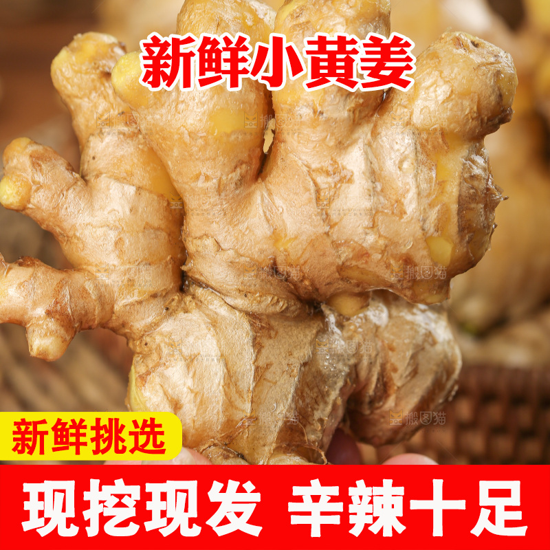 深底上的小黄姜