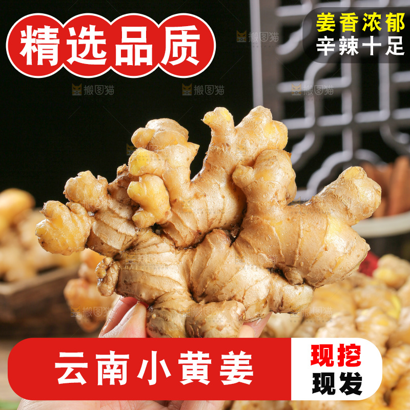 深底上的小黄姜