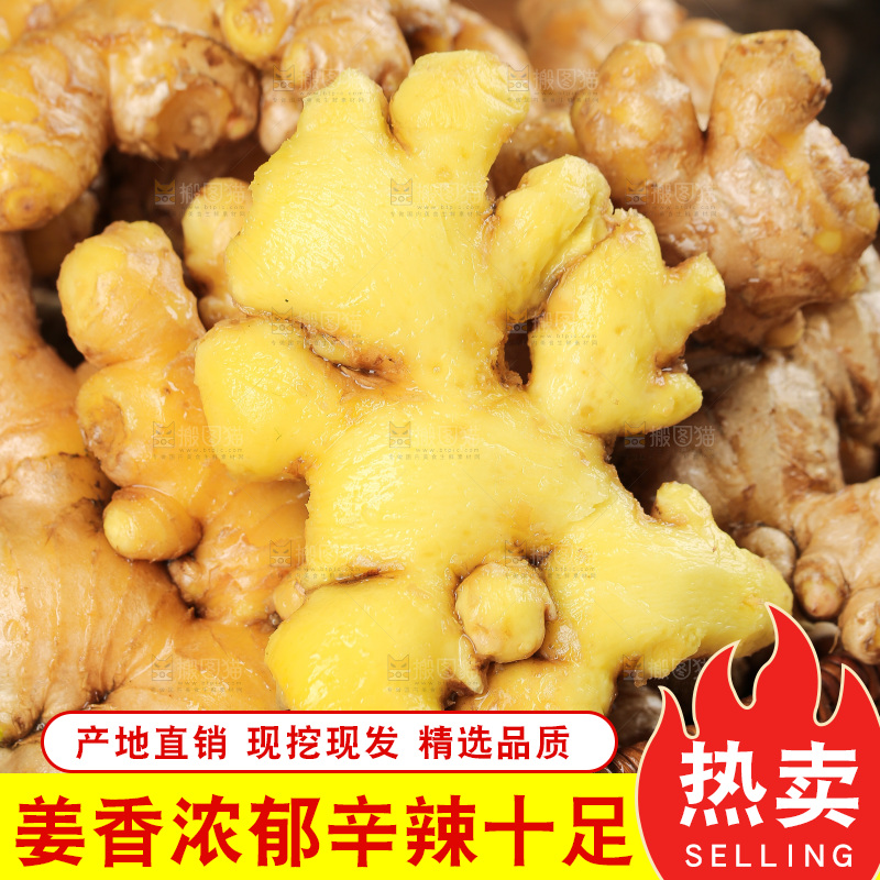 深底上的小黄姜