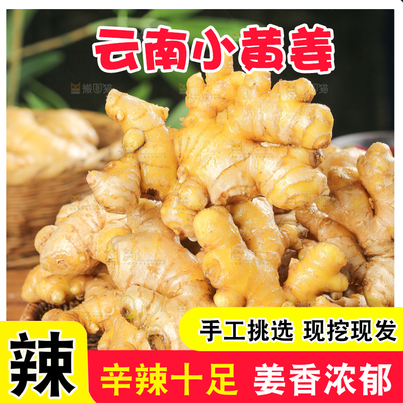 深底上的小黄姜