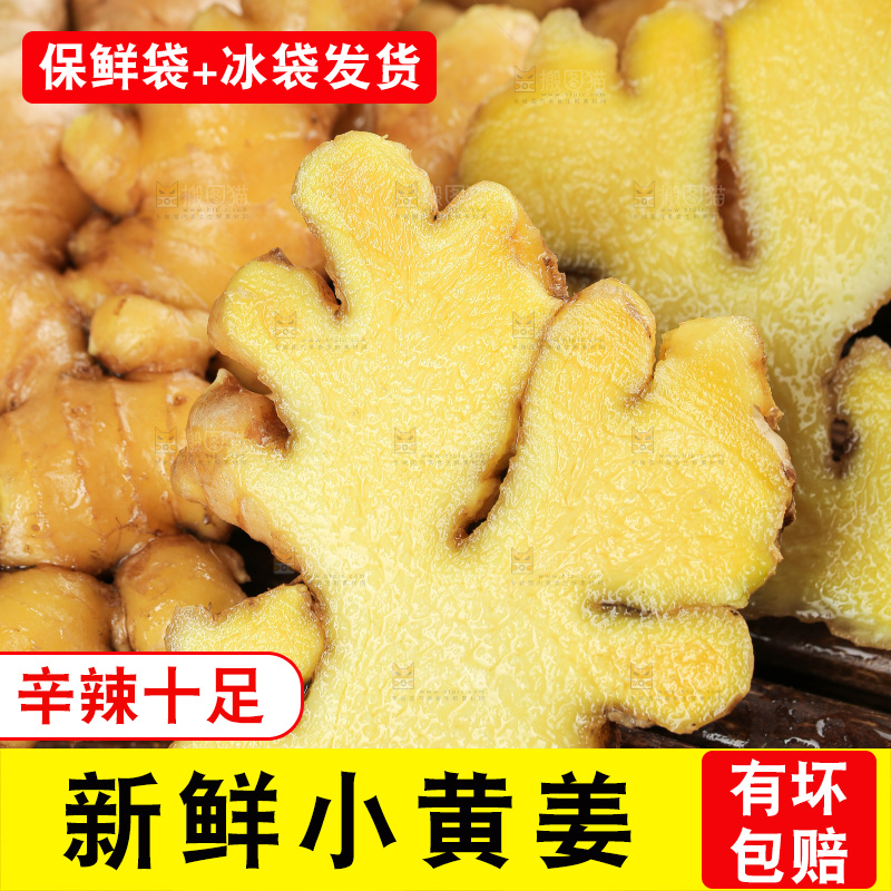 深底上的小黄姜