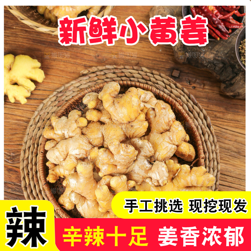 深底上的小黄姜