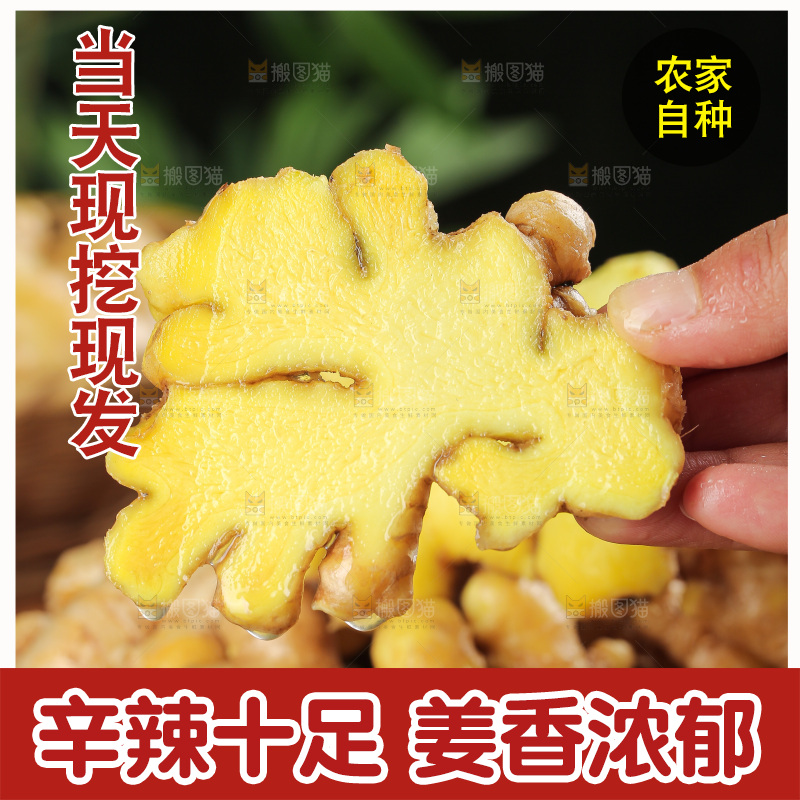 深底上的小黄姜