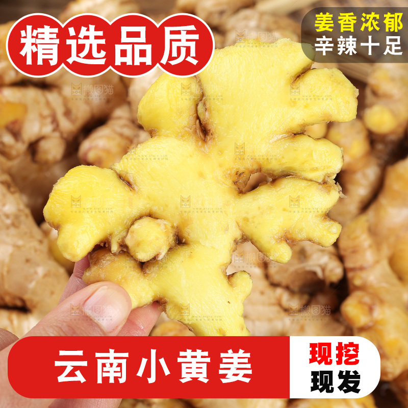 深底上的小黄姜