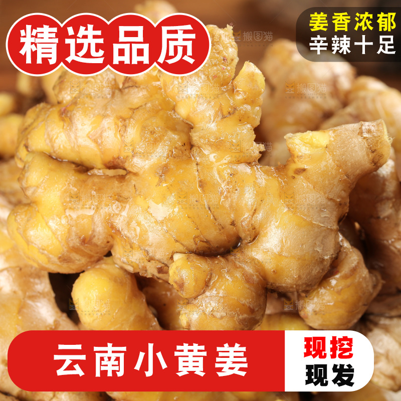深底上的小黄姜