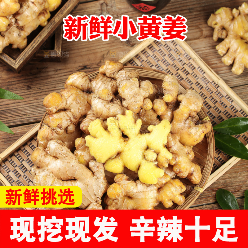 深底上的小黄姜