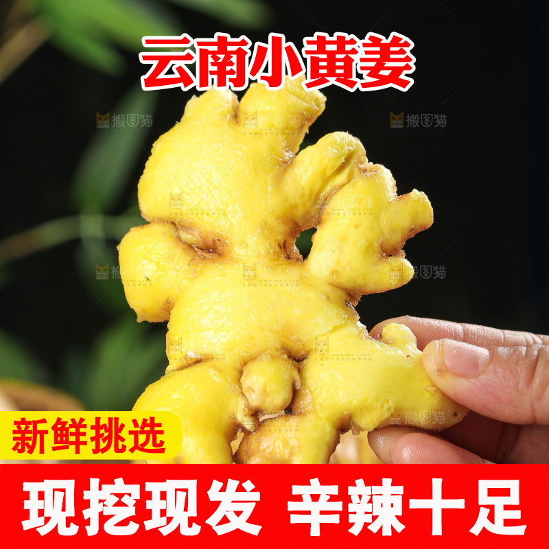 深底上的小黄姜