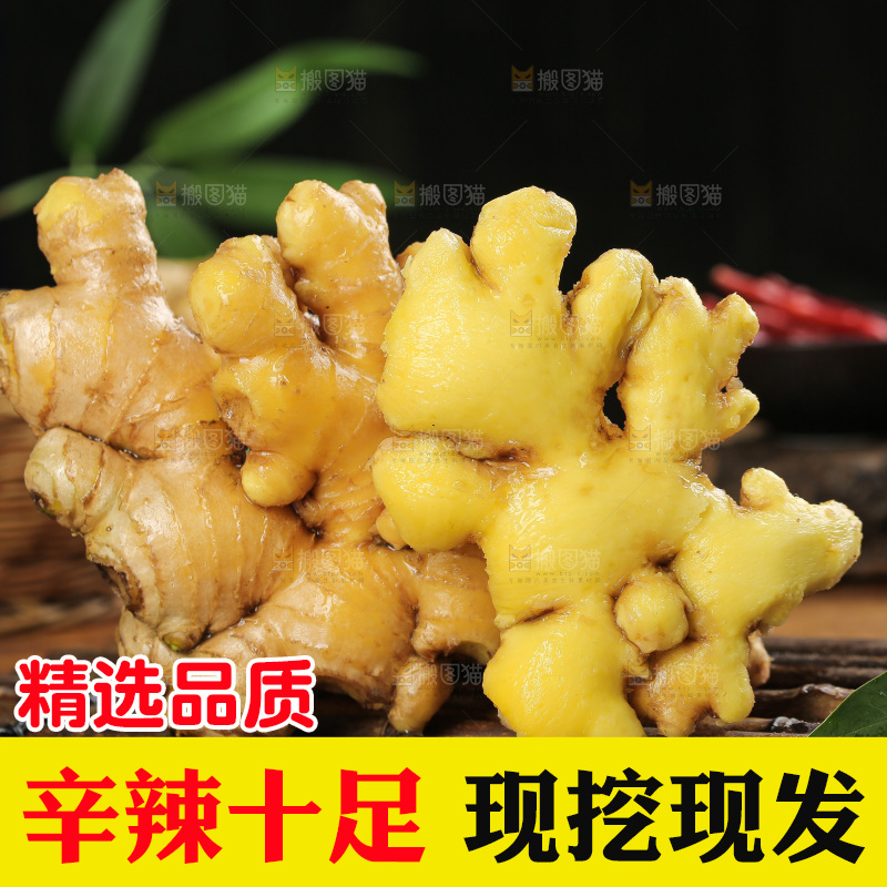 深底上的小黄姜