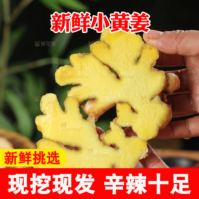 深底上的小黄姜