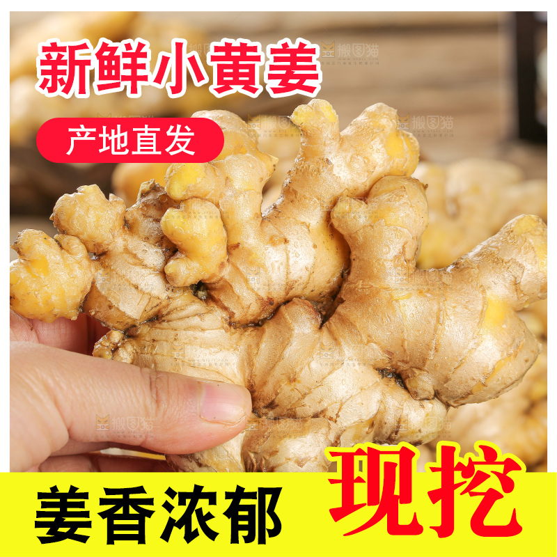 深底上的小黄姜