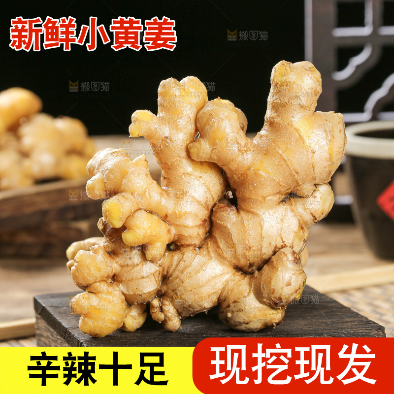 深底上的小黄姜