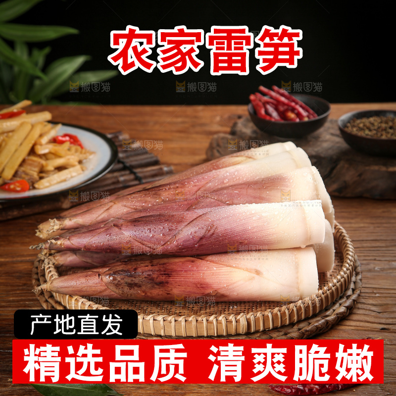深底上的雷笋