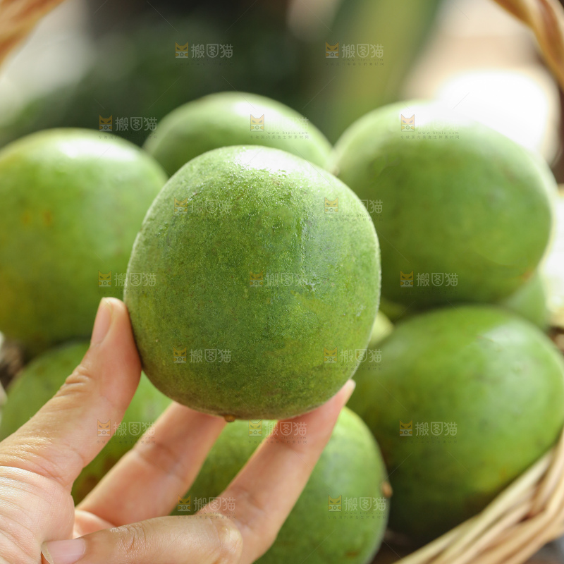 浅底上新鲜罗汉果
