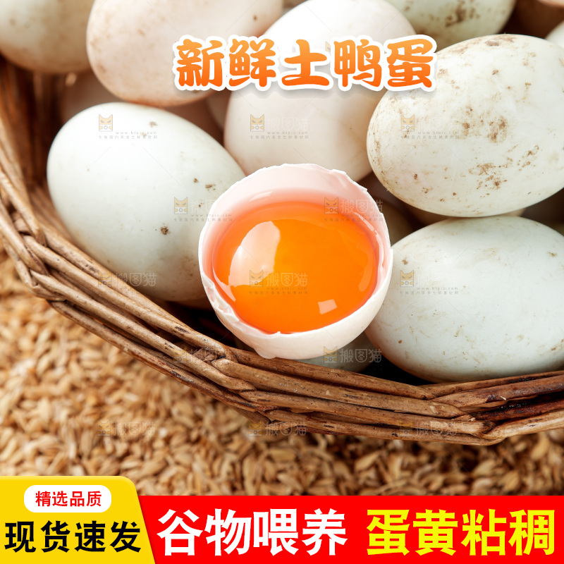 浅底上的鸭蛋