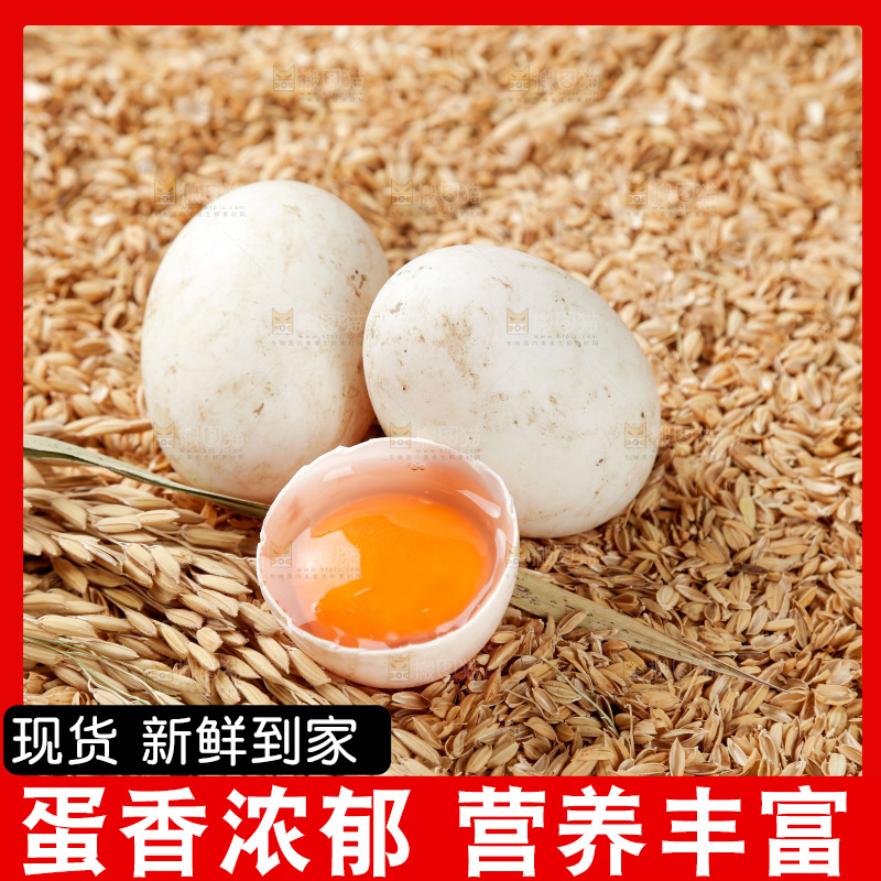 浅底上的鸭蛋