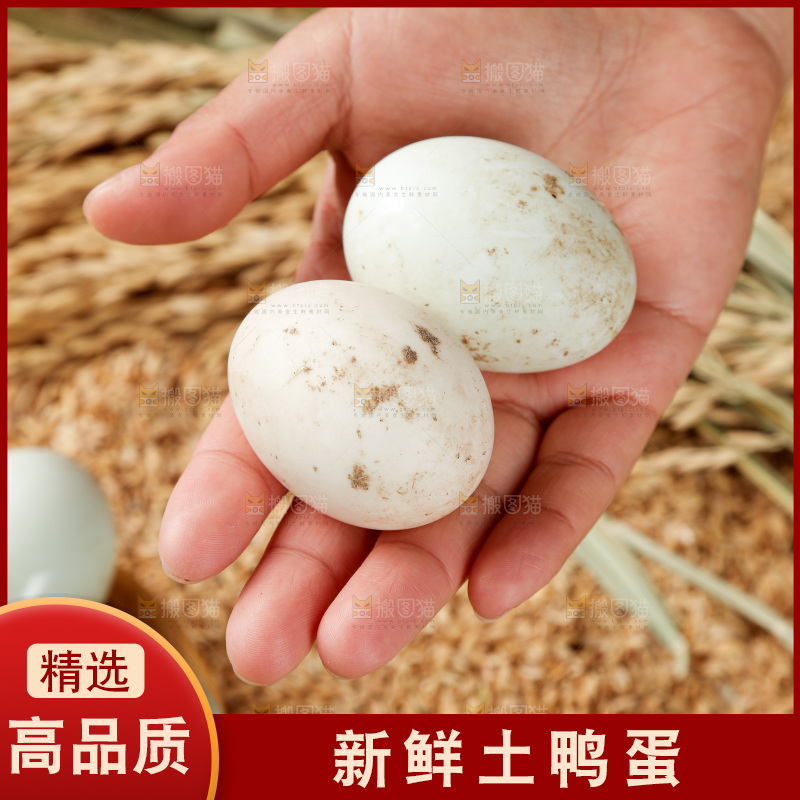 浅底上的鸭蛋
