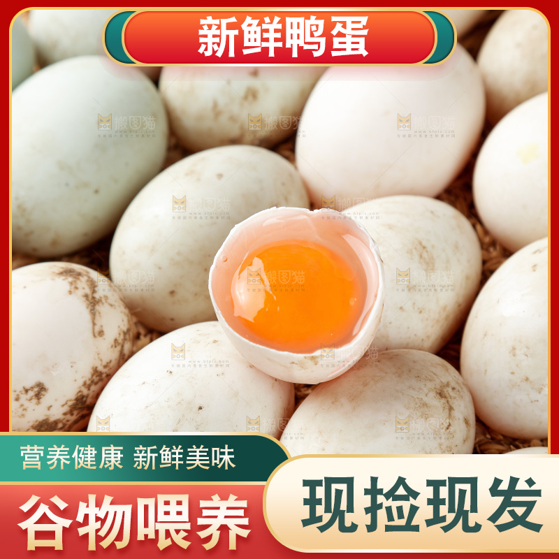 浅底上的鸭蛋