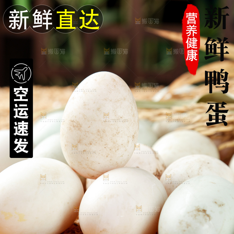 浅底上的鸭蛋