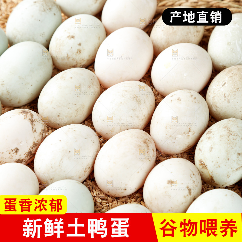 浅底上的鸭蛋