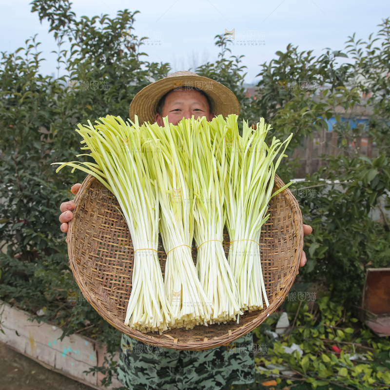 手上拿着新鲜韭黄