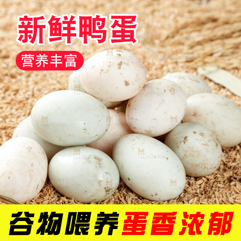 浅底上的鸭蛋
