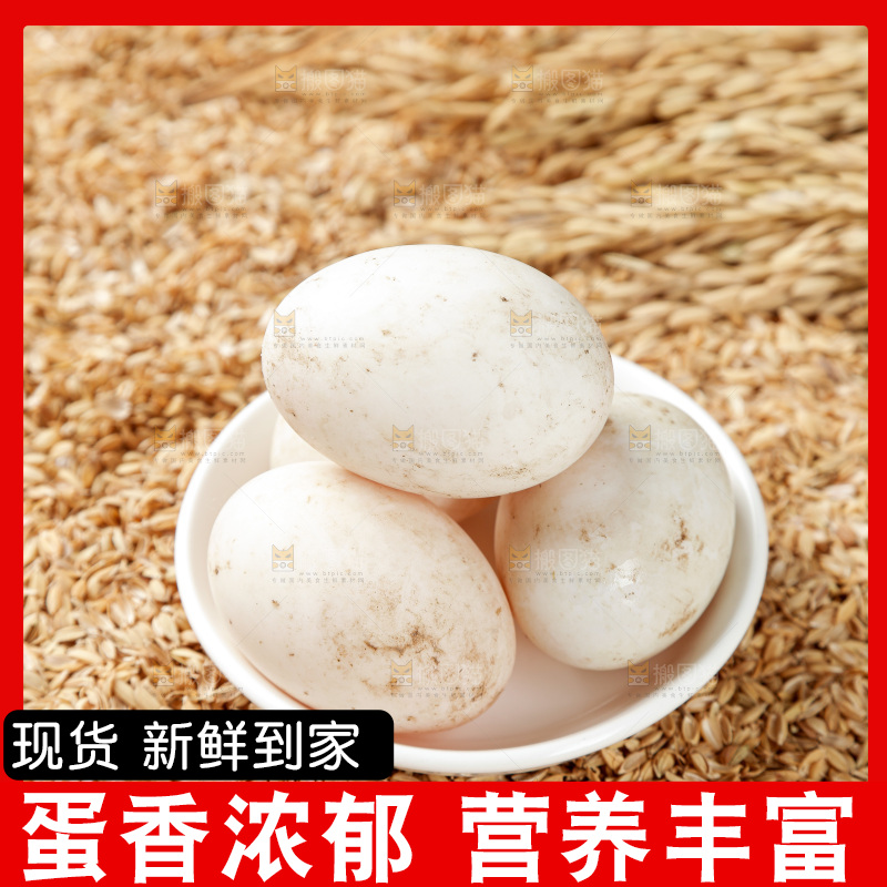 浅底上的鸭蛋