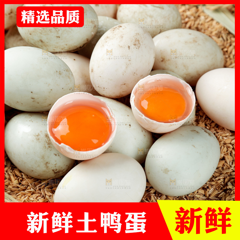 浅底上的鸭蛋