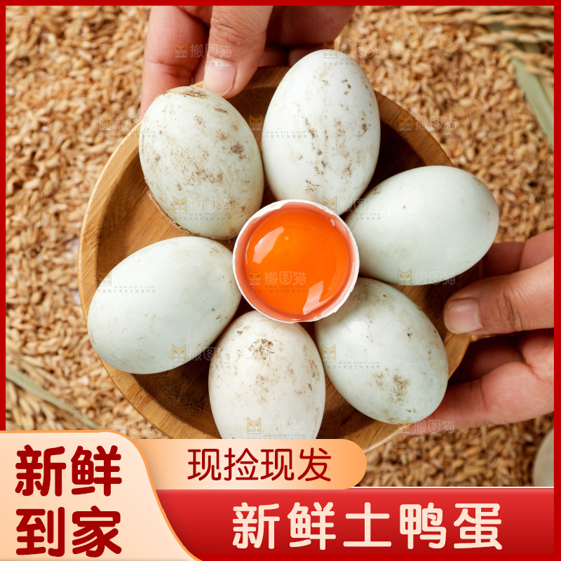 浅底上的鸭蛋