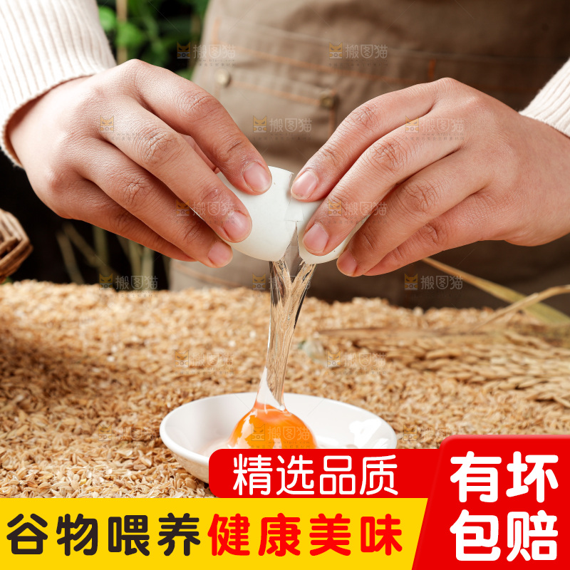 浅底上的鸭蛋