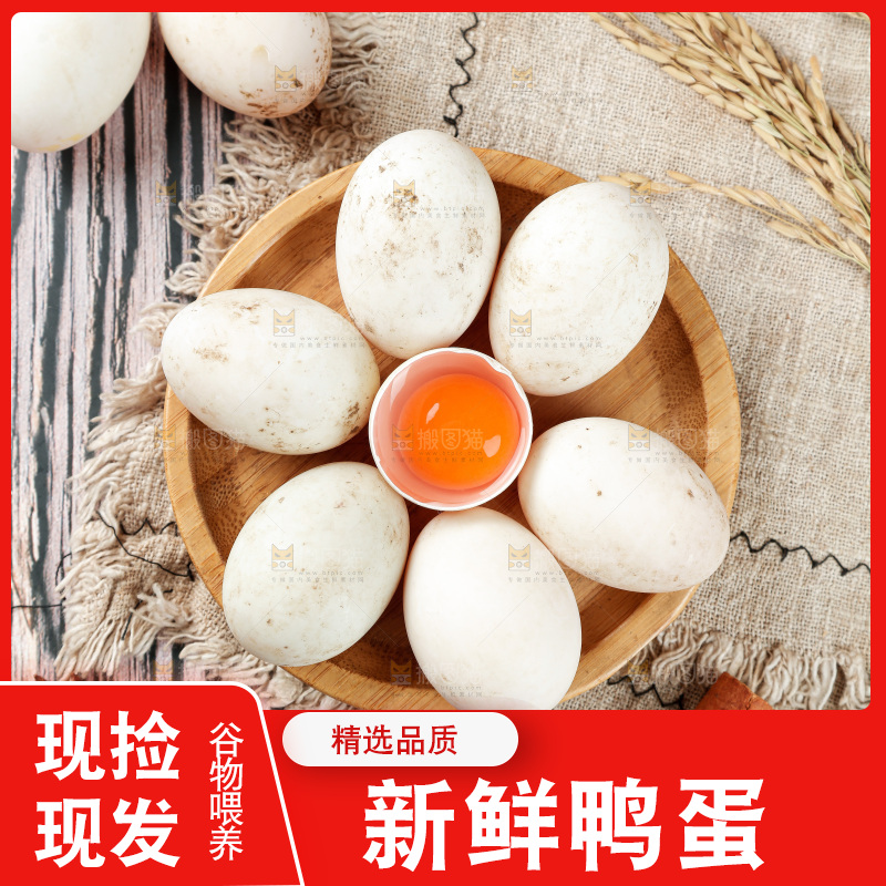 木底上的鸭蛋