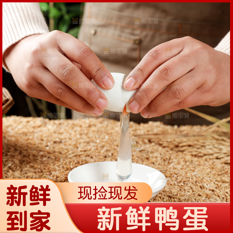 浅底上的鸭蛋